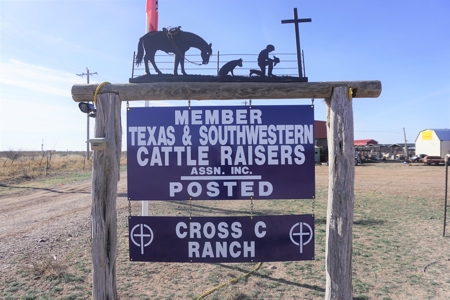 Farm & Ranch Land For Sale - 640 Acres - Coyanosa Texas - image 1