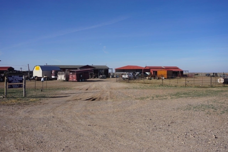 Farm & Ranch Land For Sale - 640 Acres - Coyanosa Texas - image 3