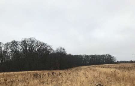 Adams County Illinois Hunting Farm Home Site Property - image 8