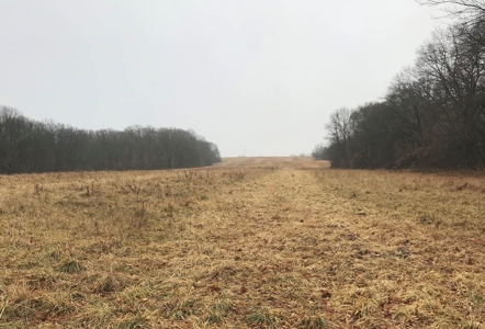Adams County Illinois Hunting Farm Home Site Property - image 3