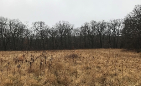 Adams County Illinois Hunting Farm Home Site Property - image 5