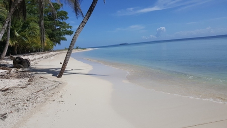 Bocas del Toro Coastal beach lot in Salt Creek, Panama - image 4