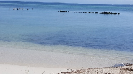 Bocas del Toro Coastal beach lot in Salt Creek, Panama - image 3