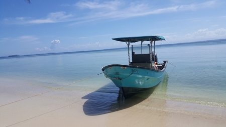 Bocas del Toro Coastal beach lot in Salt Creek, Panama - image 1