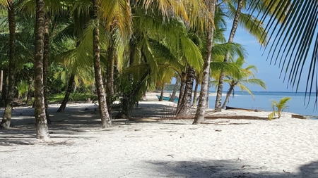 Bocas del Toro Coastal beach lot in Salt Creek, Panama - image 2