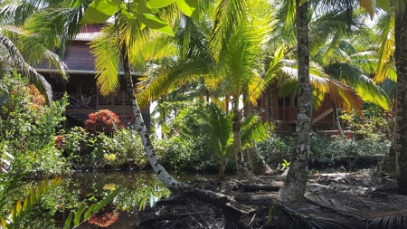 Bocas del Toro Coastal beach lot in Salt Creek, Panama - image 6