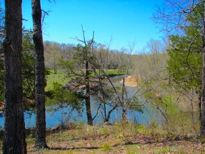 Arkansas Ozarks Southfork River Property for Sale - Salem - image 3
