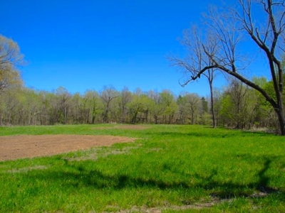 Arkansas Ozarks Southfork River Property for Sale - Salem - image 9