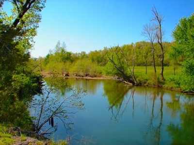 Arkansas Ozarks Southfork River Property for Sale - Salem - image 2