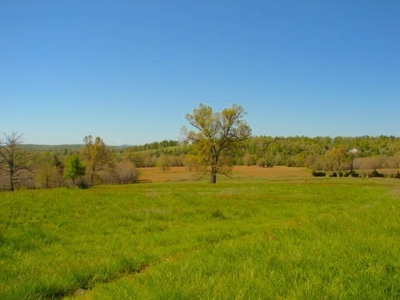 Arkansas Ozarks Southfork River Property for Sale - Salem - image 17