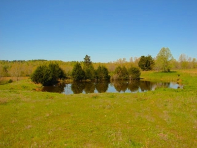 Arkansas Ozarks Southfork River Property for Sale - Salem - image 16
