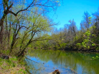 Arkansas Ozarks Southfork River Property for Sale - Salem - image 5