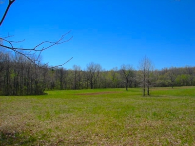 Arkansas Ozarks Southfork River Property for Sale - Salem - image 10
