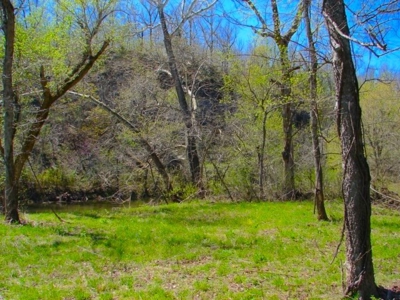 Arkansas Ozarks Southfork River Property for Sale - Salem - image 6