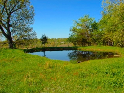Arkansas Ozarks Southfork River Property for Sale - Salem - image 18