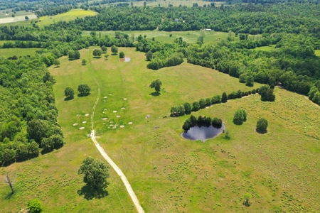 Arkansas Ozarks Southfork River Property for Sale - Salem - image 42