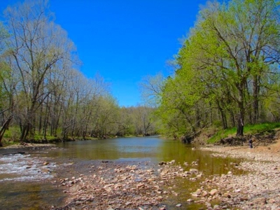 Arkansas Ozarks Southfork River Property for Sale - Salem - image 8