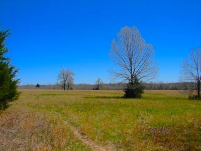 Arkansas Ozarks Southfork River Property for Sale - Salem - image 4