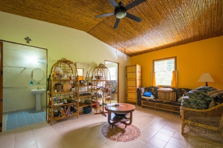 Coffee farm lot 2 bedroom house in Penonome, PANAMA - image 45