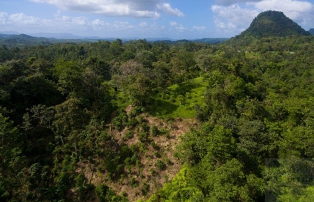 Coffee farm lot 2 bedroom house in Penonome, PANAMA - image 5
