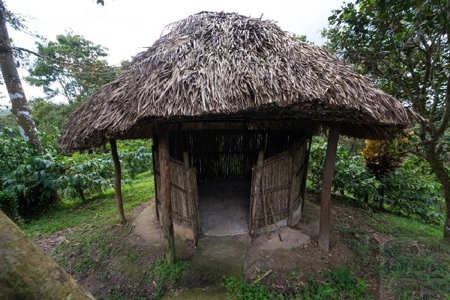 Coffee farm lot 2 bedroom house in Penonome, PANAMA - image 19