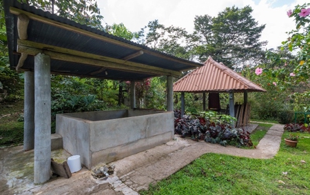 Coffee farm lot 2 bedroom house in Penonome, PANAMA - image 11