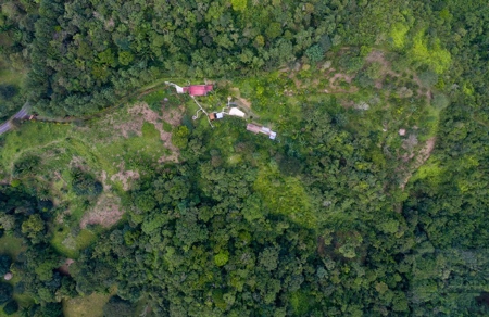 Coffee farm lot 2 bedroom house in Penonome, PANAMA - image 2