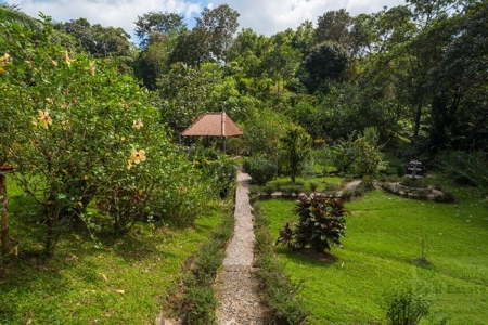 Coffee farm lot 2 bedroom house in Penonome, PANAMA - image 9