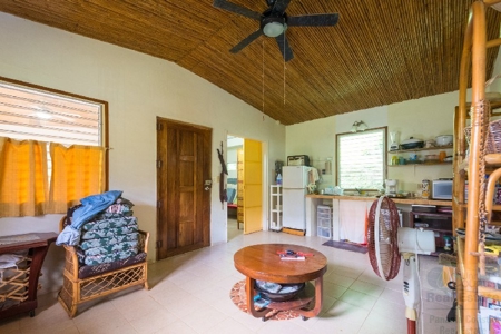 Coffee farm lot 2 bedroom house in Penonome, PANAMA - image 47