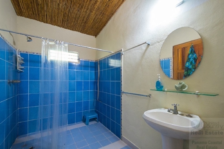 Coffee farm lot 2 bedroom house in Penonome, PANAMA - image 50