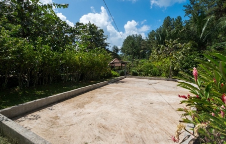 Coffee farm lot 2 bedroom house in Penonome, PANAMA - image 13