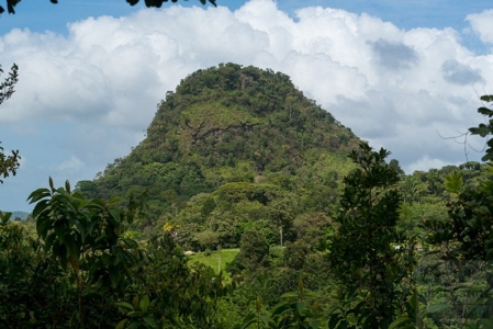 Coffee farm lot 2 bedroom house in Penonome, PANAMA - image 21