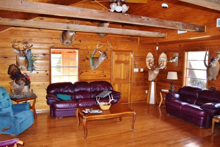 Hunting Lodge Timber 2260 Acres Jefferson County SW MS - image 15
