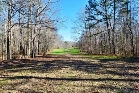 Hunting Lodge Timber 2260 Acres Jefferson County SW MS - image 31