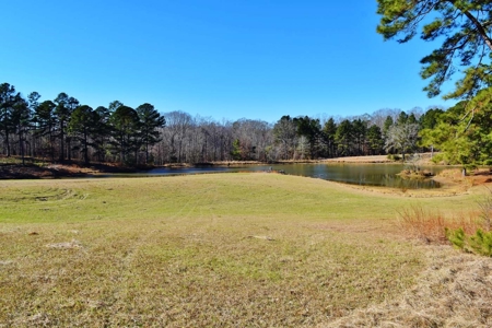 Hunting Lodge Timber 2260 Acres Jefferson County SW MS - image 27