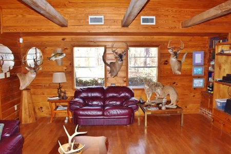 Hunting Lodge Timber 2260 Acres Jefferson County SW MS - image 19