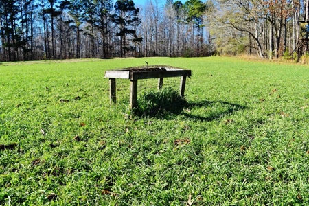 Hunting Lodge Timber 2260 Acres Jefferson County SW MS - image 44