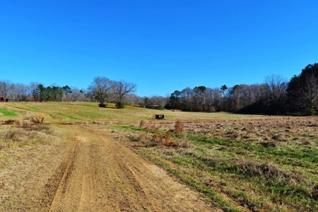Hunting Lodge Timber 2260 Acres Jefferson County SW MS - image 46