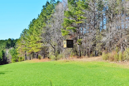 Hunting Lodge Timber 2260 Acres Jefferson County SW MS - image 29