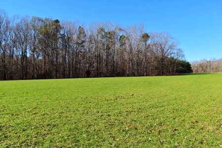 Hunting Lodge Timber 2260 Acres Jefferson County SW MS - image 33
