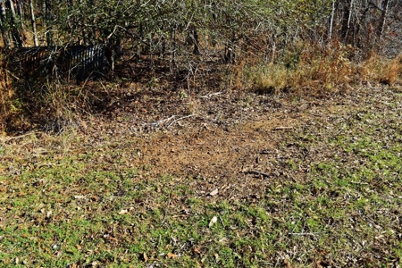 Hunting Lodge Timber 2260 Acres Jefferson County SW MS - image 39