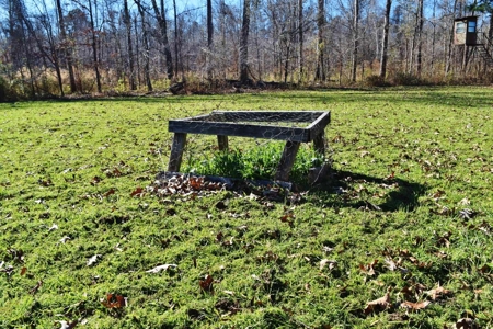 Hunting Lodge Timber 2260 Acres Jefferson County SW MS - image 37