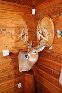 Hunting Lodge Timber 2260 Acres Jefferson County SW MS - image 12