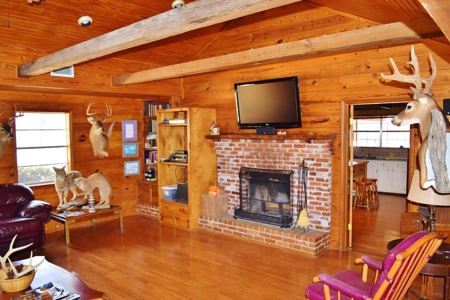 Hunting Lodge Timber 2260 Acres Jefferson County SW MS - image 16