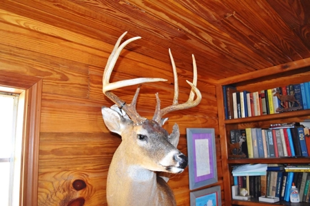 Hunting Lodge Timber 2260 Acres Jefferson County SW MS - image 11