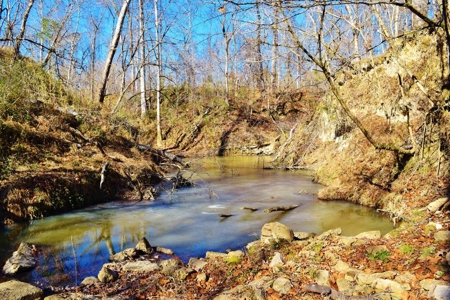 Hunting Lodge Timber 2260 Acres Jefferson County SW MS - image 36