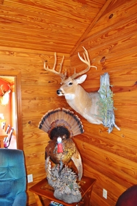 Hunting Lodge Timber 2260 Acres Jefferson County SW MS - image 14