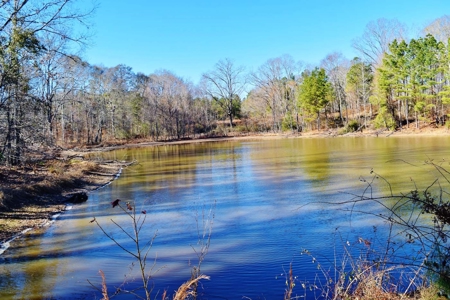 Hunting Lodge Timber 2260 Acres Jefferson County SW MS - image 41