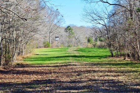 Hunting Lodge Timber 2260 Acres Jefferson County SW MS - image 32