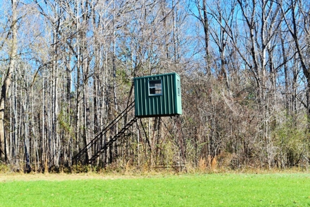Hunting Lodge Timber 2260 Acres Jefferson County SW MS - image 34